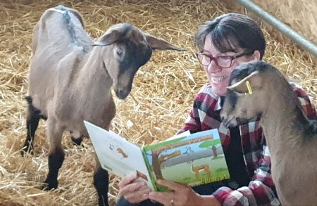 Petit brin de lecture au milieu de la paille à mes copines bébés chèvres